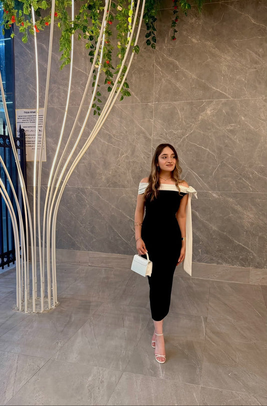 Brianna Double Color Dress