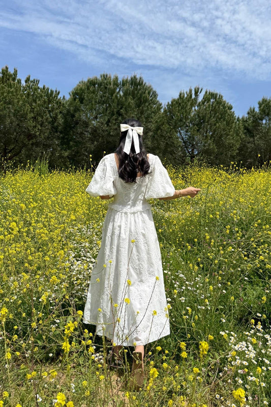 Balloon Sleeve Lace Embroidered DRESS