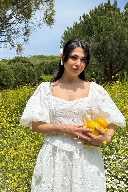 Balloon Sleeve Lace Embroidered DRESS