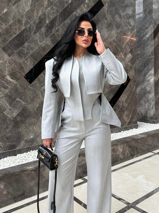 Elegant grey 2 Piece Suit