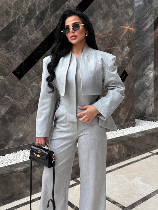 Elegant grey 2 Piece Suit