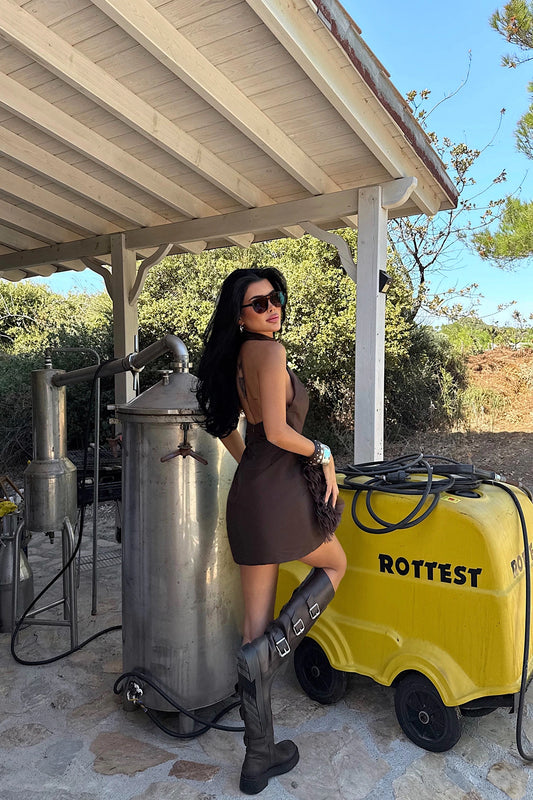 Brown Freyya Mini with Rose Detail at Hem Dress