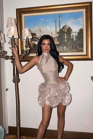 Stone Freyya Mini with Rose Detail at Hem Dress